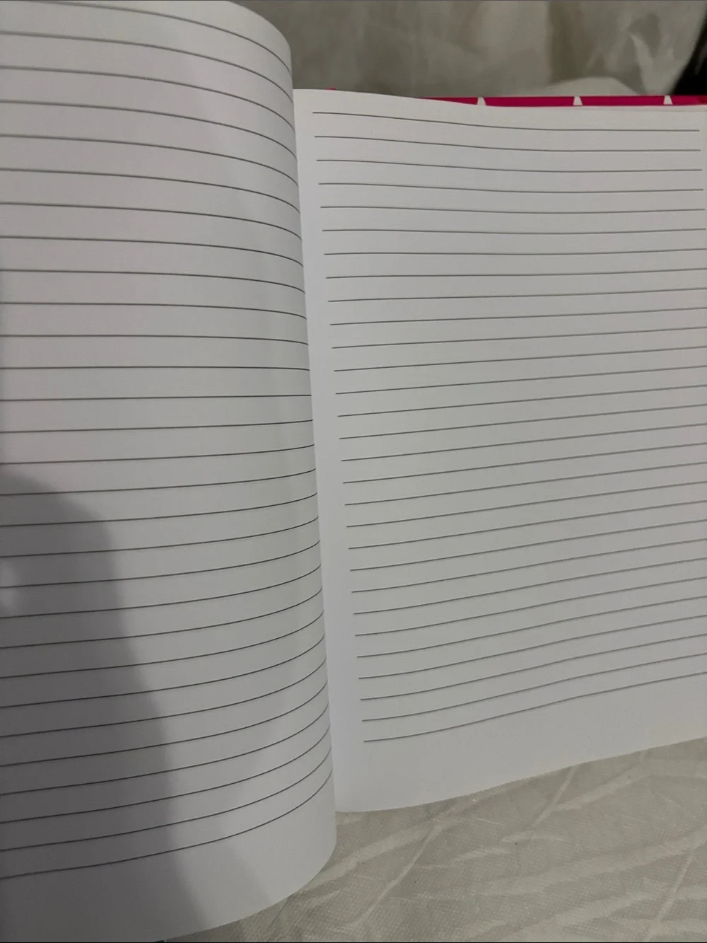 Undated Planner and Pink Polka Dot Journal NWT